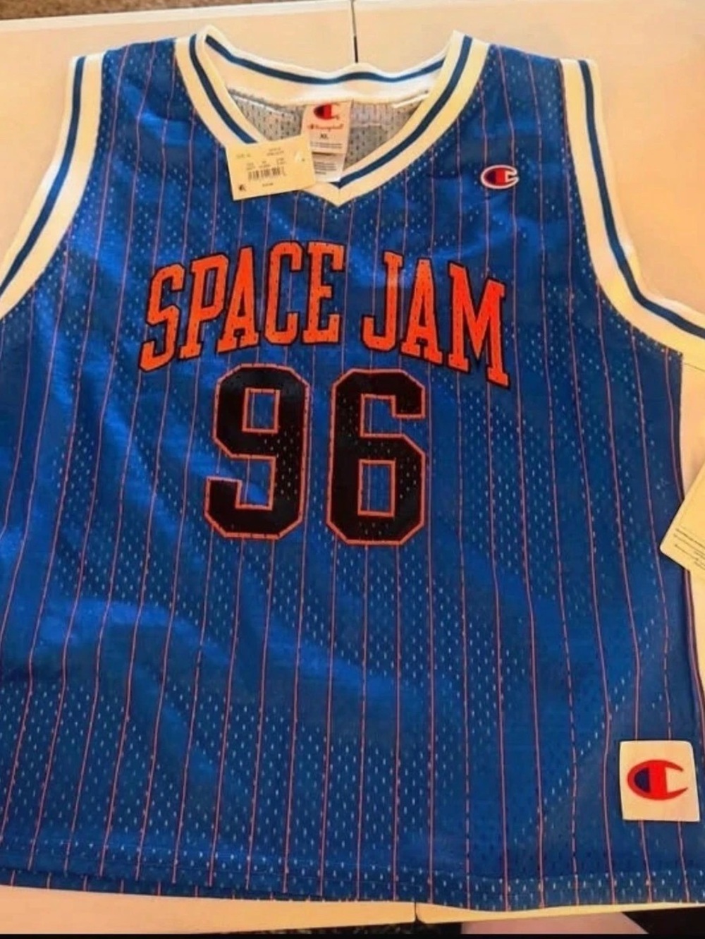 Champion Space Jam 96 cropped Jersey Blue & White Striped Jersey XL NWT